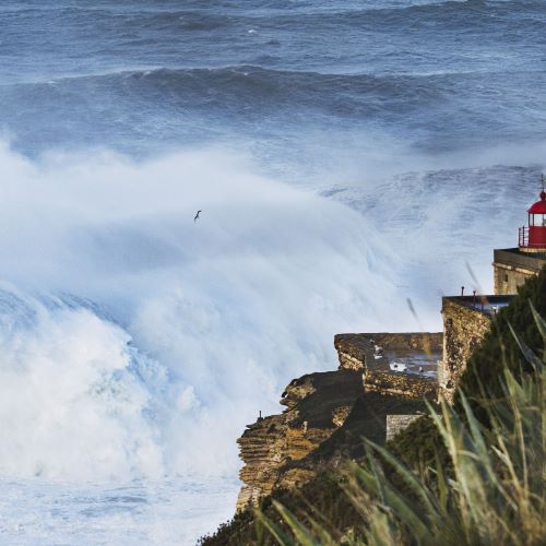 Wave photography in Nazaré